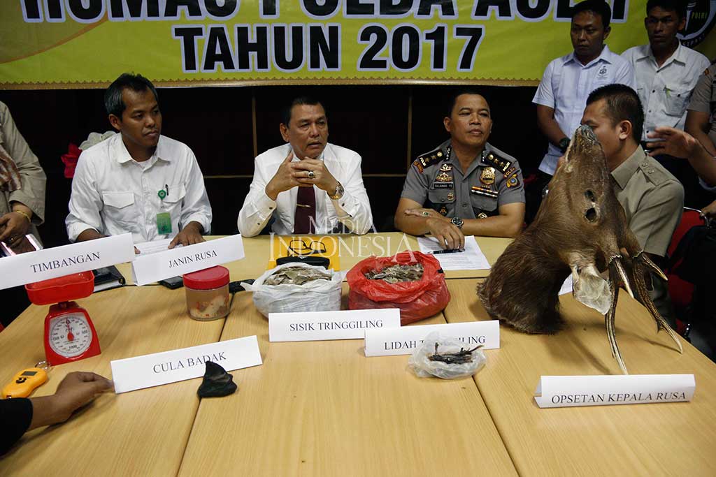 Direktur Reserse Kriminal Khusus Polda Aceh Kombes Armensyah Thay (tengah) didampingi Kepala BKSDA Aceh Sapto Aji Prabowo (kiri) menghadirkan barang bukti tindak kejahatan perdagangan organ tubuh satwa dilindungi yang telah diawetkan, saat gelar kasus di Mapolda Aceh, Banda Aceh, Kamis (20/7/2017).