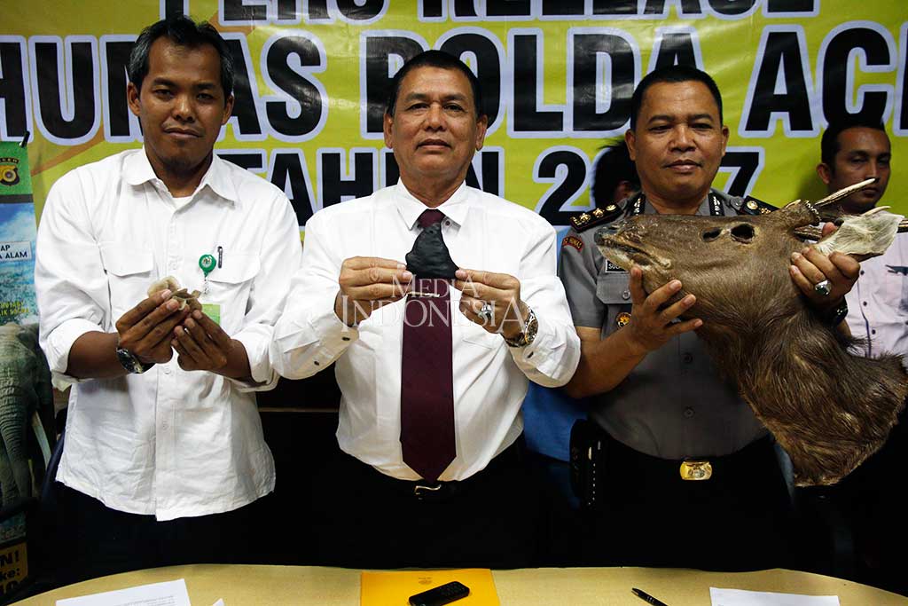 Barang bukti yang berhasil diamankan dari warga Kabupaten Aceh Selatan tersebut diantaranya opsetan kepala rusa, sisik  dan lidah trengiling, cula badak, serta janin rusa.