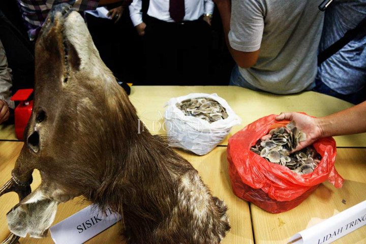 Polisi menjerat tersangka dengan pasal 40 ayat (2) Jo Pasal 21 ayat (2) huruf A, B dan D Undang-Undang  Nomor 05 Tahun 1990 Jo Pasal 55,56 KUHP dengan ancaman hukuman 5 tahun penjara.