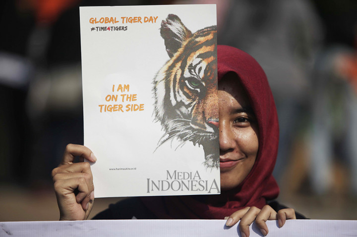Sejumlah aktivis HarimauKita, Forum Konservasi Harimau Sumatra melakukan aksi simpatik memeringati Hari Harimau Sedunia 2017 ketika pelaksanaan car free day di kawasan Bundaran HI, Jakarta.
