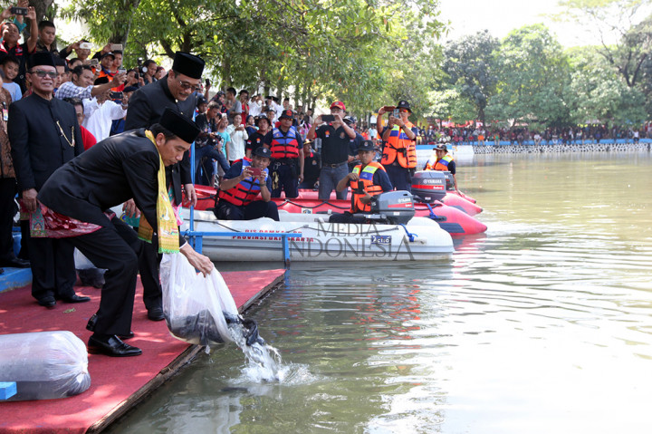 Presiden Joko Widodo melepas ikan di Pusat Budaya Betawi Setu Babakan, Jakarta Selatan.