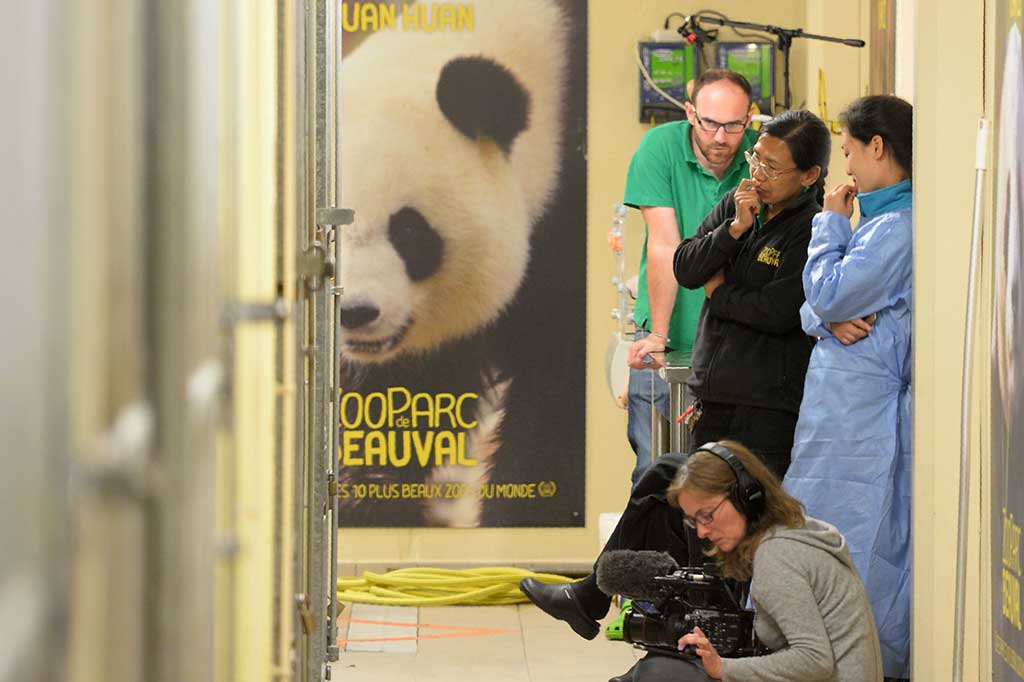 Kegembiraan sekaligus kesedihan terpancar dari para penjaga Bunbin Beauval setelah Huan Huan melahirkan bayi panda kembar. Mereka bersedih karena bayi pertama, yang beratnya hanya 121 gram, mulai mengalami masalah pernapasan dan mati meski ada upaya terbaik dari staf bunbin.