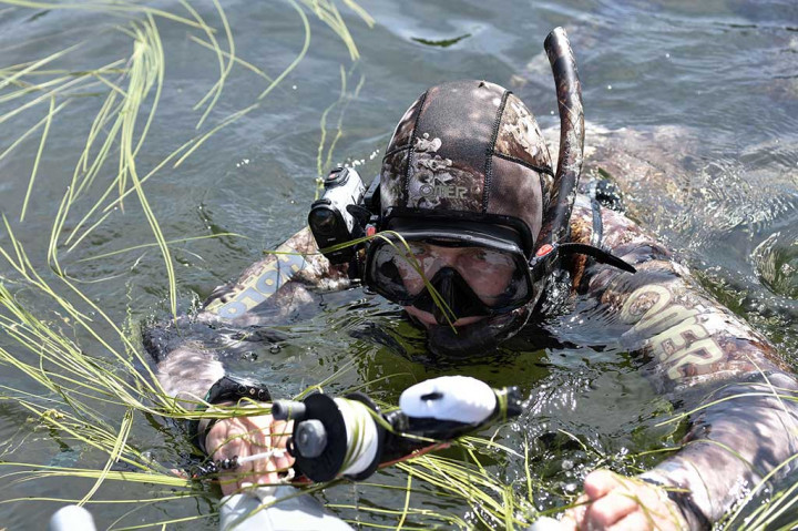 Tidak hanya memancing, Putin juga menceburkan diri ke air guna memburu ikan dengan cara memanah.