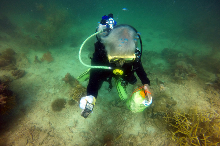 Aktivis yang tergabung dalam Persatuan Olahraga Selam Seluruh Indonesia (POSSI) Sulsel mengumpulkan sampah di dasar laut berpartisipasi dalam kegiatan bersih pulau bertajuk Save Our Seas, di Pulau Samalona, Makassar, Sulawesi Selata.