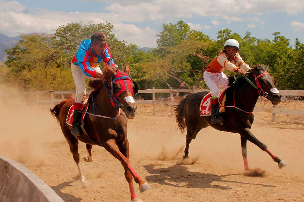 Balap kuda yang dilakukan di Wini daerah perbatasan dengan Timor Leste itu diikuti oleh hampir semua pencinta balap kuda dari seluruh Nusa Tenggara Timur, bahkan ada juga dari Manado, Nusa Tenggara Barat serta dari negara tetangga Timor Leste.