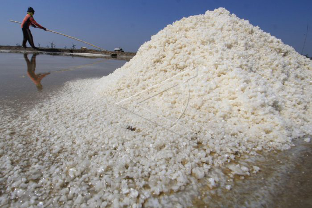 Di sisi lain, petani garam was-was akan masuknya garam impor, yang dikhawatirkan akan menekan harga kembali rendah, mereka berharap pemerintah mengeluarkan kebijakan yang tepat agar tidak terjadi kelangkaan garam di pasaran, namun juga melindungi petani yang menggantungkan hidupnya dari produksi garam. 