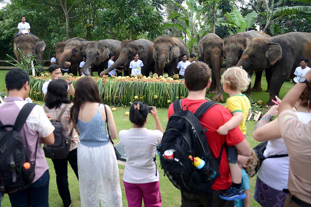 Wisatawan mengabadikan momen saat gajah koleksi Bali Zoo menikmati makanan favorit mereka yang disajikan secara prasmanan. AFP/Sonny Tumbelaka