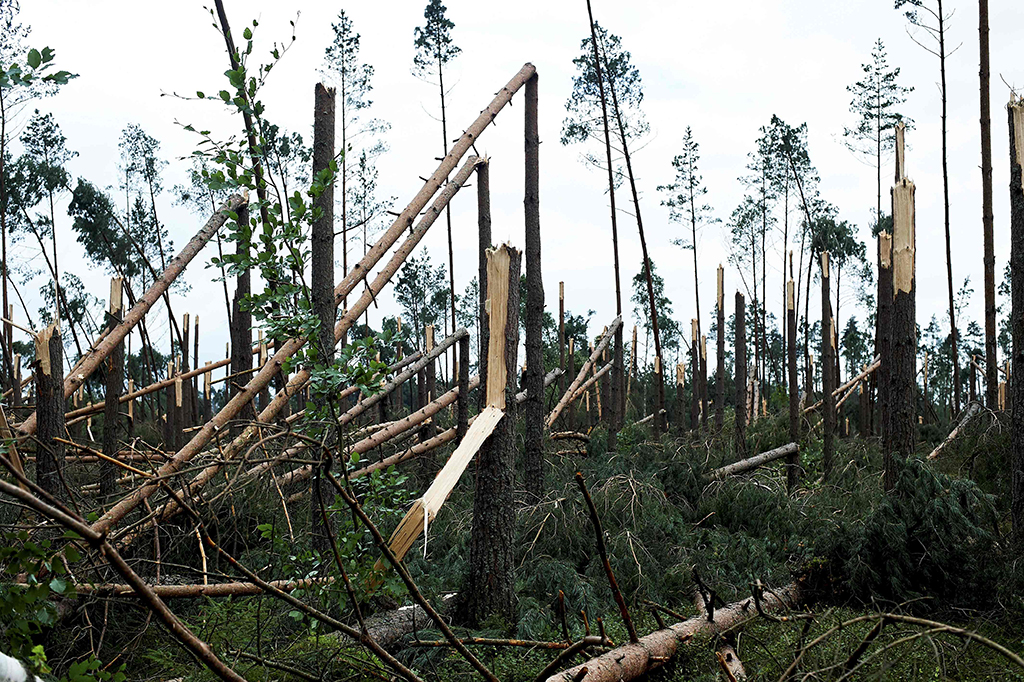 Lima orang tewas dalam insiden badai angin topan di Warsawa, Polandia. Dua di antara lima orang tersebut adalah remaja pramuka yang sedang berkemah.