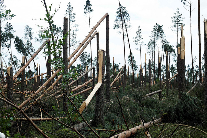 Lima orang tewas dalam insiden badai angin topan di Warsawa, Polandia. Dua di antara lima orang tersebut adalah remaja pramuka yang sedang berkemah.