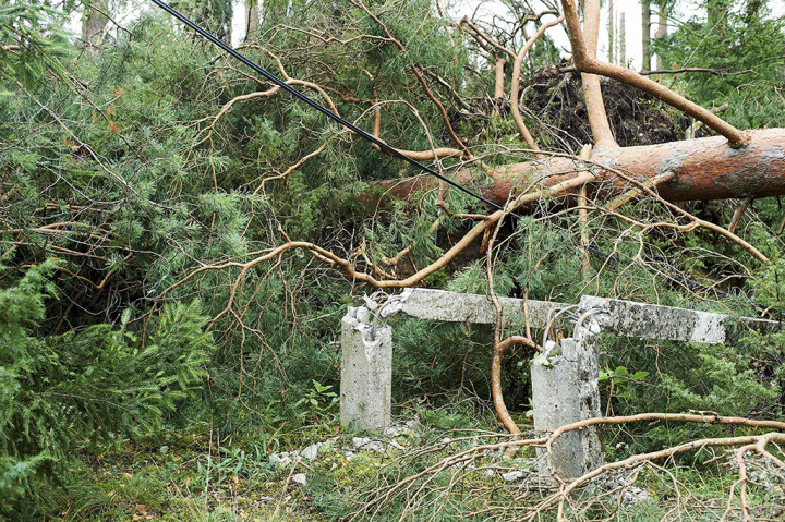 Dua remaja tersebut tewas karena tertimpa pohon saat tidur di dalam tenda. Sekitar 20 anak lainnya juga mengalami luka saat badai menghantam perkemahan tersebut. Dilaporkan total korban luka sekitar 37 orang.