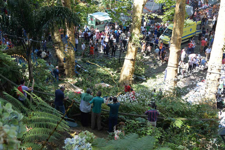 Areal pohon raksasa berusia sekitar 200 tahun di Bundaran Largo da Fonte di Permukiman Monte di Funchal, Ibu Kota Wilayah Otonomi Madeira, yang tumbang dan menimpa warga yang tengah berkumpul untuk mengikuti festival agama. 