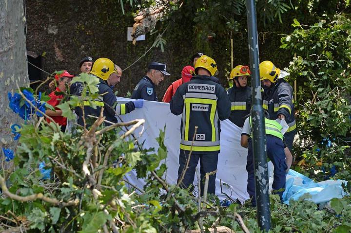 Petugas mengevakuasi jenazah korban yang tertimpa pohon tumbang saat prosesi keagamaan Our Lady of the Mount.