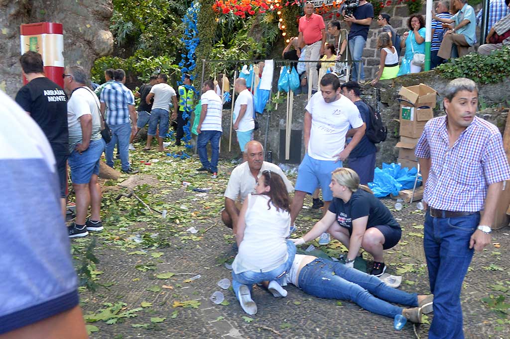 Belum diketahui mengapa pohon tersebut tumbang. Presiden Pemerintah Regional Miguel Albuquerque menolak membuat spekulasi bahwa kondisi pohon itu buruk atau apakah peristiwa tersebut ada kaitannya dengan tumbangnya pohon lain tiga bulan lalu.