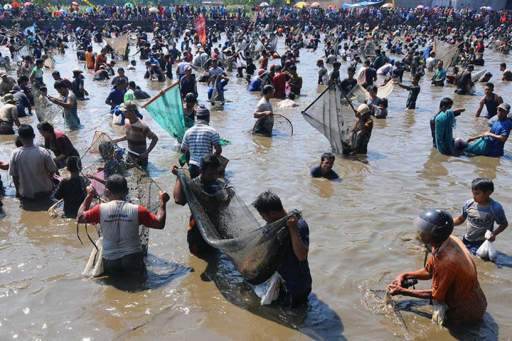 Warga dengan membawa peralatan jaring berlomba untuk menangkap sekitar 1,5 ton ikan yang telah ditebar di embung tersebut. ANTARA/Aloysius Jarot Nugroho