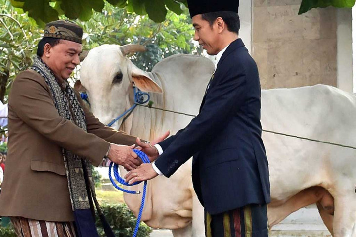 Presiden Joko Widodo secara simbolis menyerahkan sapi kurban kepada panitia kurban Masjid Agung Kota Sukabumi, Jawa Barat, Jumat (1/9/2017).