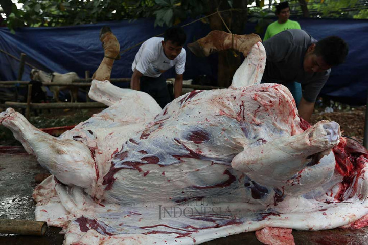 Suasana pemotongan hewan kurban di lapangan parkir Media Group, Kedoya, Jakarta Barat, Jumat (1/9/2017).