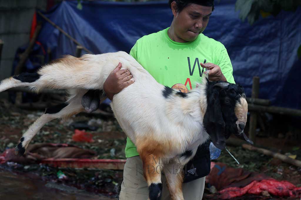 Pada Idul Adha 1438 H, Media Group menyalurkan hewan kurban sebanyak 19 ekor sapi dan 20 ekor kambing, dengan 13 ekor sapi dan 12 ekor kambing disembelih di kompleks Media Group, sementara sisanya dialokasikan ke tempat lain.