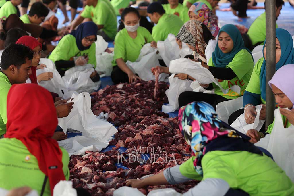 Petugas tengah mengemas daging kurban ke dalam kantong plastik sebelum dibagikan kepada yang berhak.