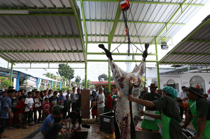 Model Penampungan dan Pemotongan Hewan Kurban