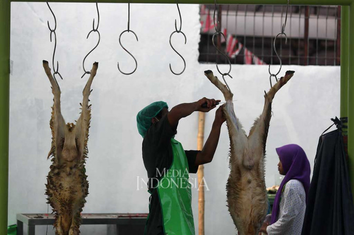 Model Penampungan dan Pemotongan Hewan Kurban