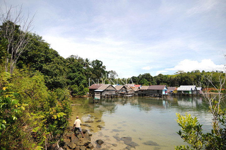 Teluk Tomori memiliki keindahan alam tersendiri dengan airnya tenang bahkan terkadang menyerupai sebuah cermin yang memantulkan bayangan gunung di sekitarnya.