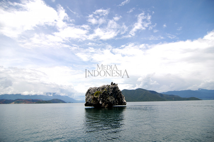 Di sana juga terdapat batu karang di tengah laut yang menyerupai pohon beringin setinggi 25 meter dari dasar laut dan disebut Batu Apali oleh masyarakat Tomori yang tinggal disekitar teluk.