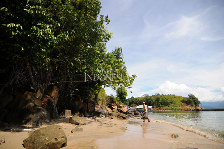 Oleh karena itu, Teluk Tomori dijadikan sebagai destinasi wisata baru yang tak kalah memikat.