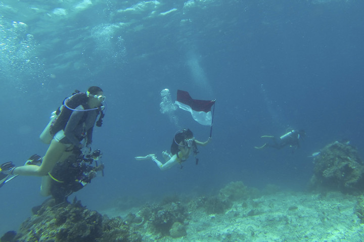 Bukan hanya Pulau Dodola, Kabupaten yang terbentuk pada 20 Maret 2008 itu mempunyai banyak lokasi wisata bahari lainnya seperti Pulau Kokoya, Pulau Zumzum, Pasir Putih, Tanjung Gorango, serta lokasi-lokasi menyelam dan snorkeling untuk menikmati keindahan bawah laut.