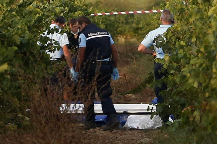 Petugas tengah melakukan penyelidikan di tempat jatuhnya pesawat pribadi tersebut. 