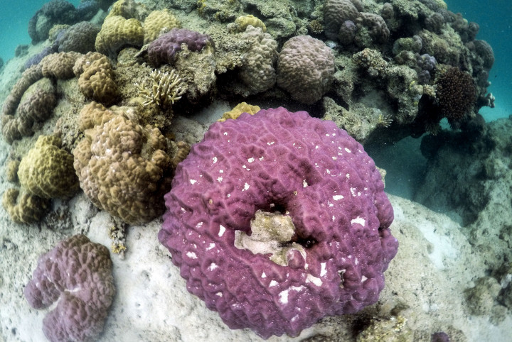 Selain kekayaan alam, Natuna juga memiliki harta karun bawah laut yang menyebar di sekeliling laut pulau Bunguran Besar. Kementerian Kelautan dan Perikanan berencana akan mengangkat barang muatan kapal tenggelam atau harta karun bawah laut.

