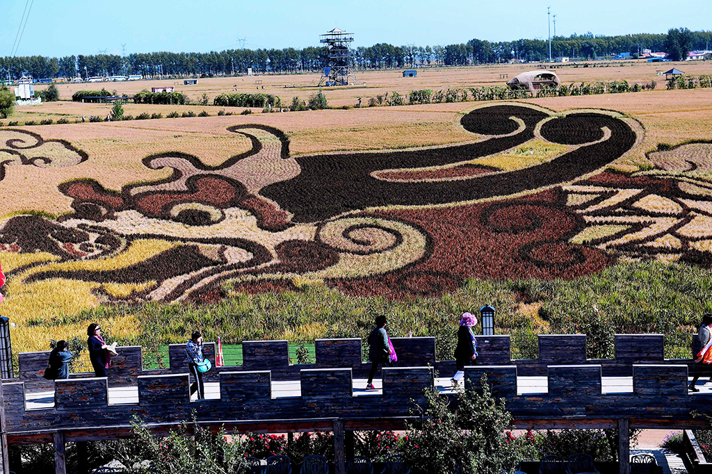 Petani-petani disini menanam padi dengan bibit padi yang bisa berwarna saat tumbuh, sehingga ketika sudah waktunya panen, sawah mereka akan sangat terlihat cantik.
