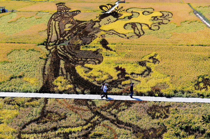 Sawah di Senyang ini mengambil inspirasi seninya dari berbagai belahan dunia.