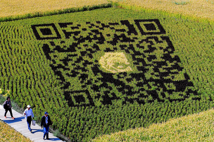 Ada juga hal yang membuat seni dengan tema modern seperti QR Code.