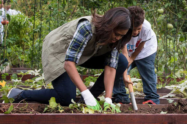 Kebun sayur Gedung Putih didirikan pada 2009 oleh Michelle Obama sebagai bagian dari pekerjaannya yang memerangi obesitas masa kecil. AFP/Jim Watson