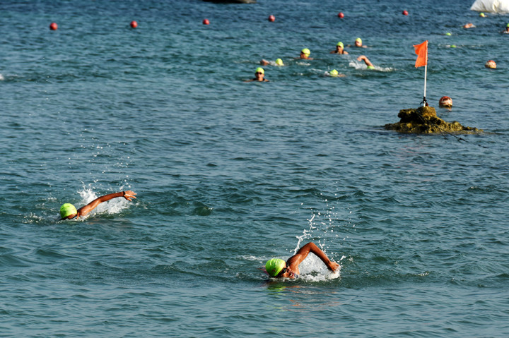 Seperti halnya ajang triatlon pada umumnya, Rhino X-Tri terdiri dari balap sepeda, renang, dan lari.
