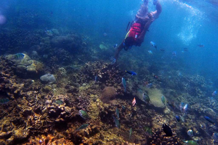 Pengunjung menikmati suasana bawah laut Pantai Beach Club di Tanjung Lesung, Pandeglang, Banten, Selasa (26/9/2017).