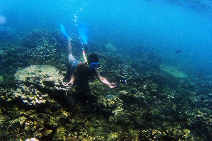Pengunjung dapat menikmati pesona wisata bawah laut Tanjung Lesung berupa aneka ragam jenis terumbu karang, siput, maupun ikan yang warna-warni.juga tidak kalah indahnya. 
