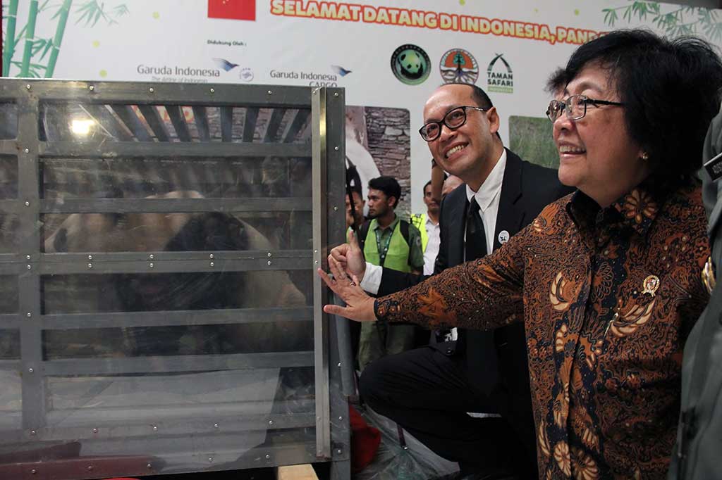 Menteri Lingkungan Hidup dan Kehutanan Siti Nurbaya menyambut langsung kedatangan panda peminjaman pengembangbiakan (breeding loan) dari Giant Landas, Tiongkok, untuk Indonesia bernama Cai Tao (jantan) dan Hu Chun (betina) tersebut. AFP/Garuda Indonesia/ Dicky Irhamsyah
