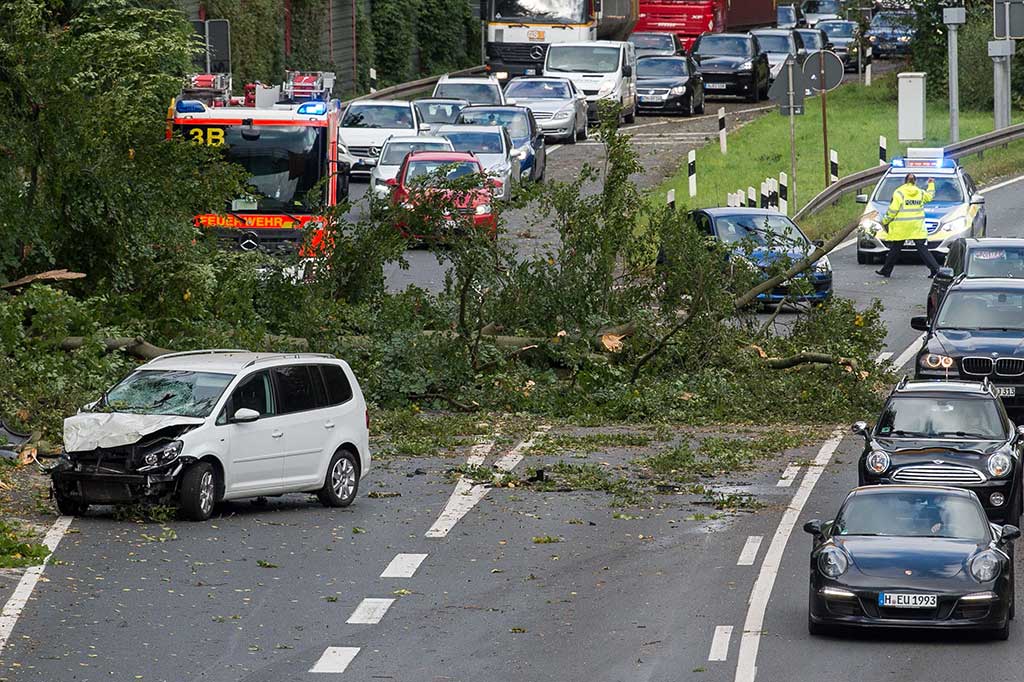 Juru bicara pusat pemadam kebakaran Berlin mengatakan seorang perempuan juga tewas di ibu kota negara ketika sebuah pohon tumbang menimpa mobil yang ia tumpangi. AFP/dpa/Silas Stein