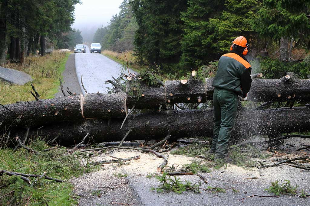 Petugas memotong pohon roboh yang melintangi jalanan di Schierke, kaki Gunung Brocken. AFP/dpa/Matthias Bein