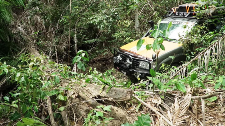 Termasuk beberapa pohonan yang tumbang dan menutup jalan setapak. Jalur alternatif ini merupakan yang terpendek menghubungkan pantai timur dan barat Sulawesi Tenggara.