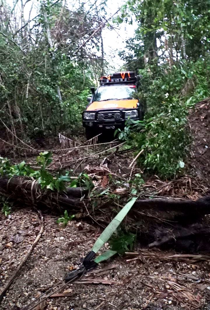 .Perlu waktu berjam-jam untuk menyingkirkan batang pohon yang sudah cukup lama menutupi jalur sehingga tidak bisa dilalui warga.