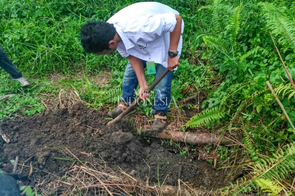 Enam di antaranya dimusnahkan dengan cara dikuburkan karena mati dalam perjalanan.