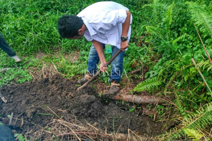Enam di antaranya dimusnahkan dengan cara dikuburkan karena mati dalam perjalanan.