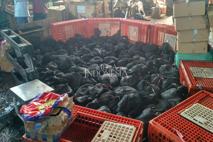 Trenggiling tersebut merupakan hasil sitaan dari Bea Cukai Dumai pada tanggal 5 Oktober 2017.