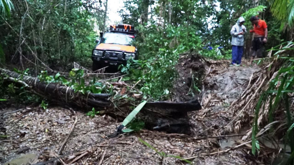 Jalan setapak menembus hutan menuju Bombana rupanya sudah lama tidak dilalui. Kondisinya nyaris sepenuhnya ilalang dan batang pohon yang tumbang. 