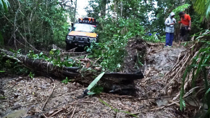 Jalan setapak menembus hutan menuju Bombana rupanya sudah lama tidak dilalui. Kondisinya nyaris sepenuhnya ilalang dan batang pohon yang tumbang. 