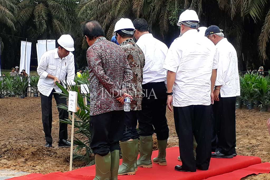 Presiden Joko Widodo melakukan penanaman perdana peremajaan kebun kelapa sawit seluas 4.400 hektare di Kabupaten Musi Banyuasin, Sumatera Selatan, Jumat (13/10/2017). MI/Dwi Apriani