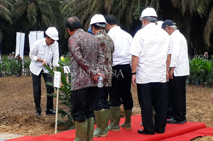 Presiden Joko Widodo melakukan penanaman perdana peremajaan kebun kelapa sawit seluas 4.400 hektare di Kabupaten Musi Banyuasin, Sumatera Selatan, Jumat (13/10/2017). MI/Dwi Apriani