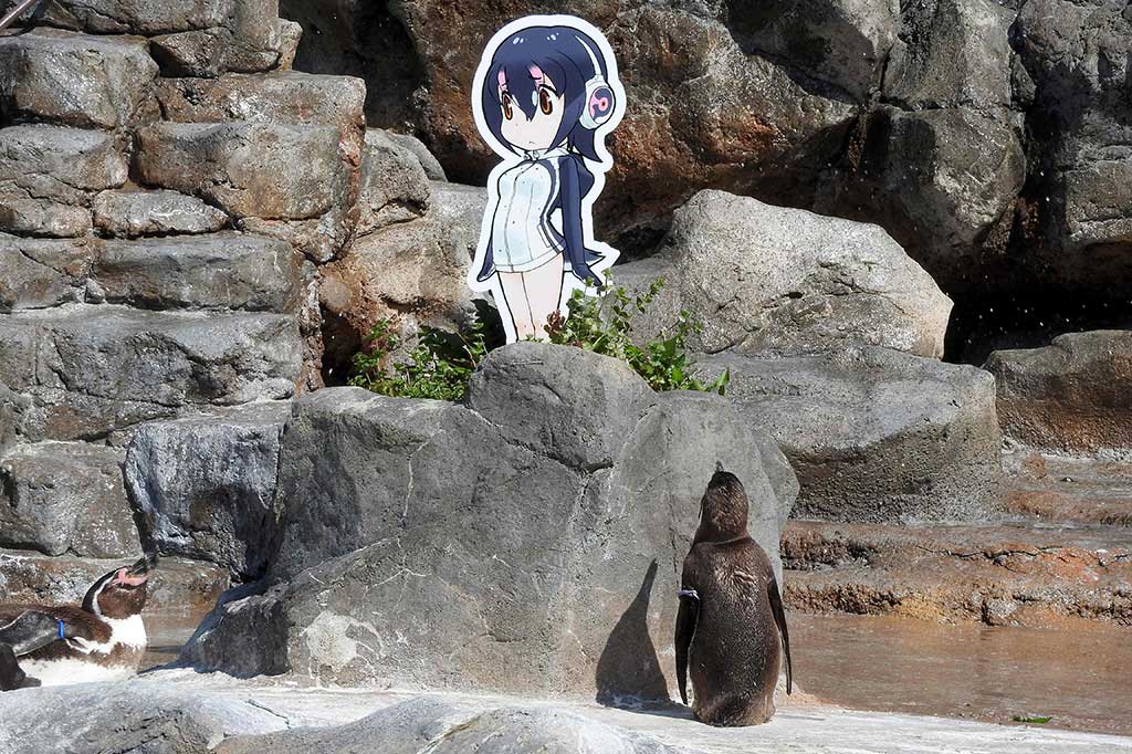 Grape-kun mati setelah mengalami sakit dengan objek pujaan hati berada di dekatnya.